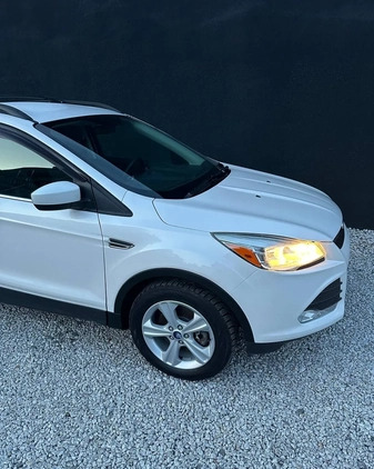 Ford Escape cena 38500 przebieg: 186000, rok produkcji 2015 z Zgorzelec małe 326